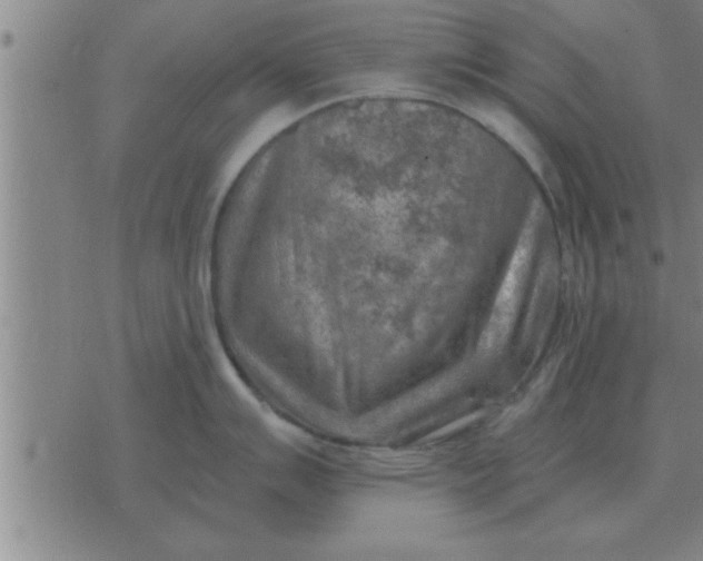 X0000074341007200609152117