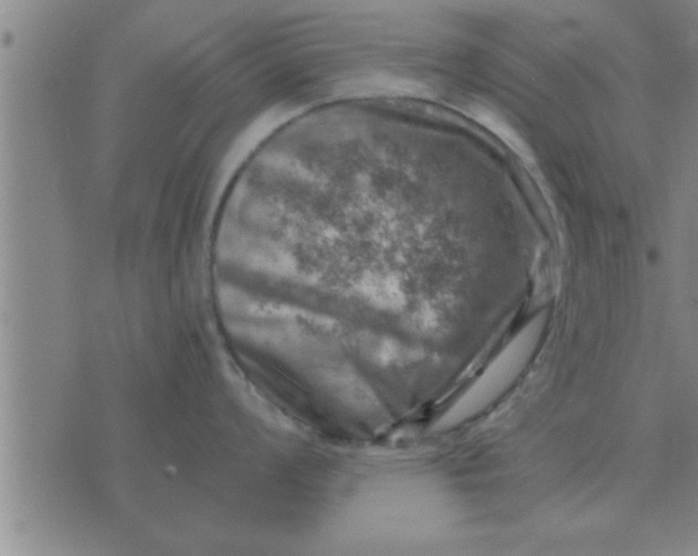 X0000074341008200609152117