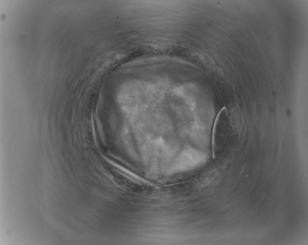 X0000074341009200609152116