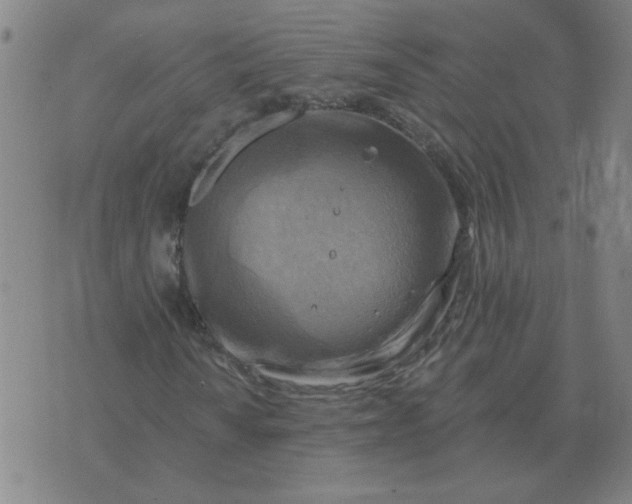 X0000074341010200609152116