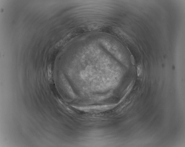 X0000074341011200609152116