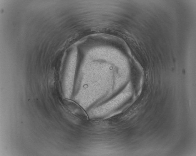 X0000074341012200609152116