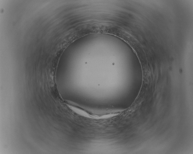 X0000074341013200609152116