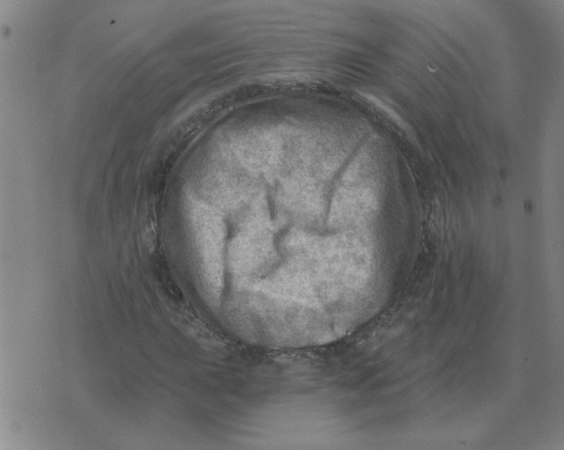 X0000074341015200609152116