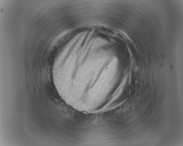 X0000074341016200609152116