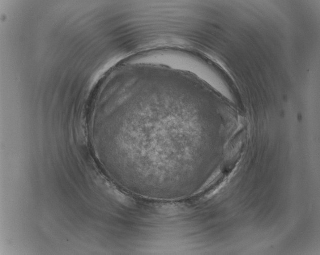 X0000074341018200609152116