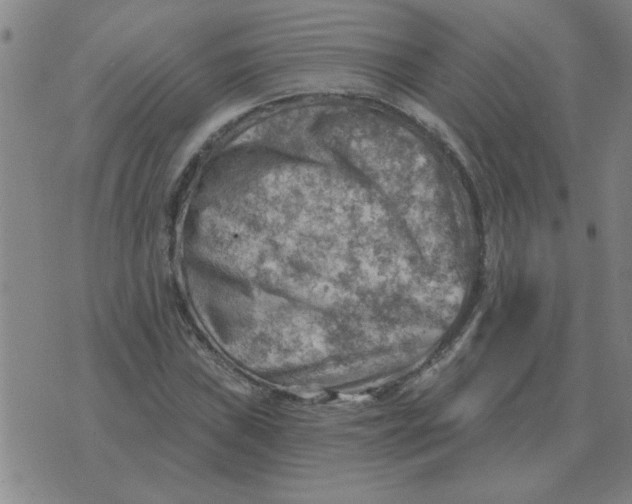 X0000074341019200609152116