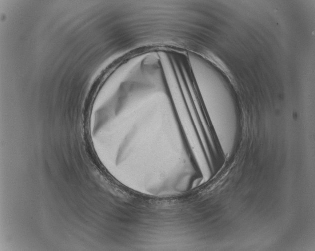 X0000074341020200609152117