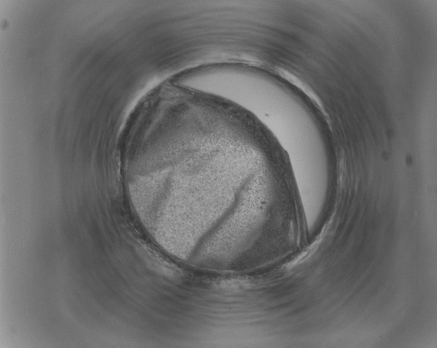 X0000074341021200609152117