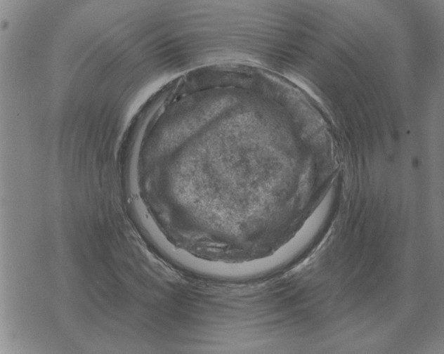 X0000074341022200609152117