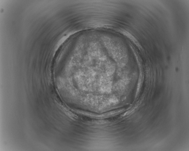 X0000074341023200609152117