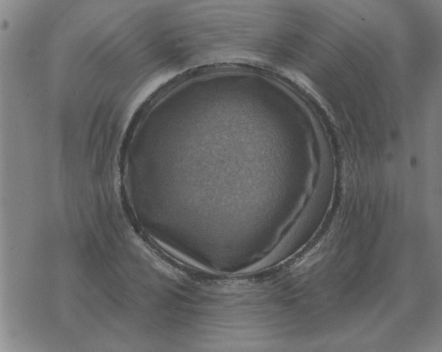 X0000074341024200609152117