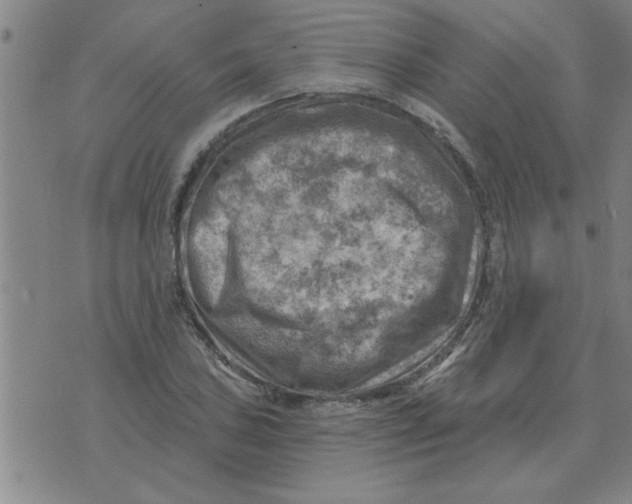 X0000074341027200609152117