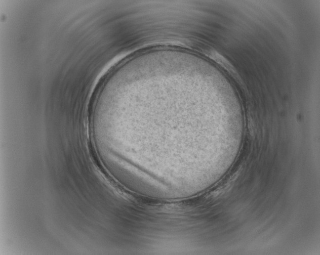 X0000074341028200609152117