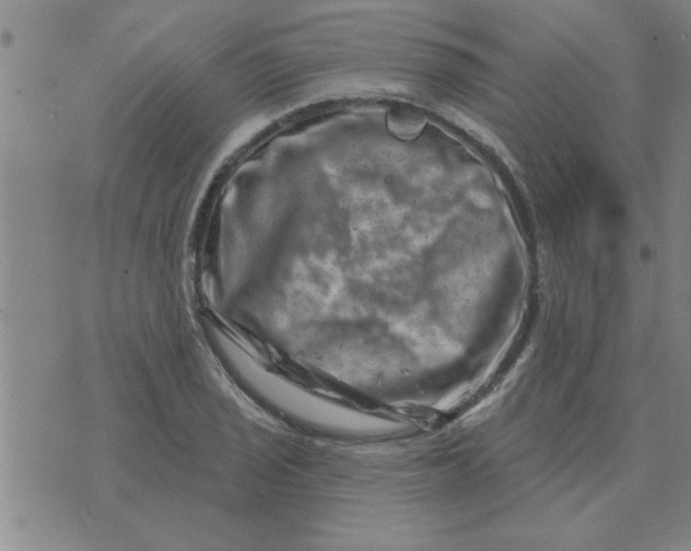 X0000074341029200609152117