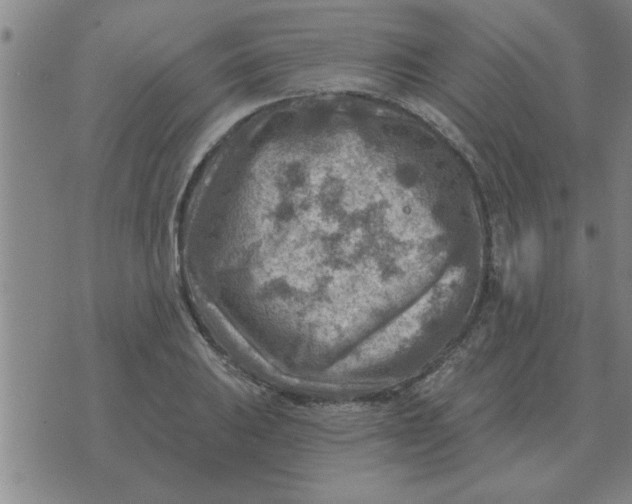 X0000074341031200609152117