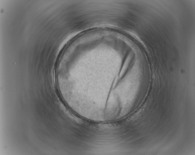 X0000074341032200609152117