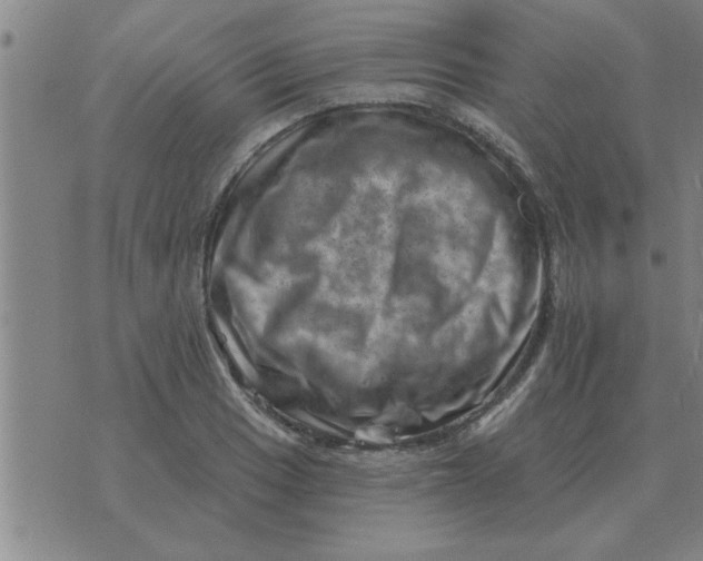 X0000074341033200609152117