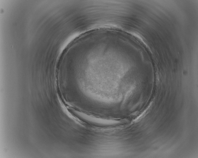 X0000074341038200609152117