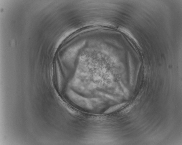 X0000074341040200609152117