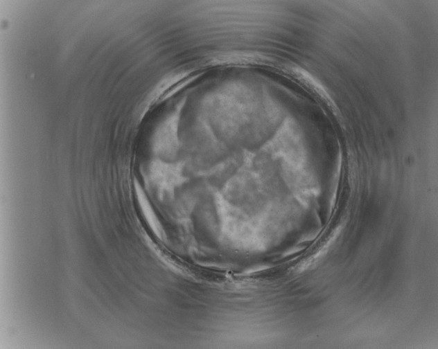 X0000074341041200609152117