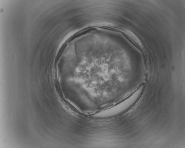 X0000074341044200609152117