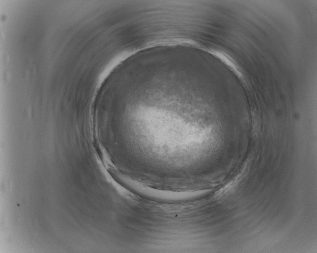 X0000074341046200609152117