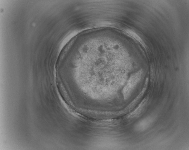 X0000074341047200609152117