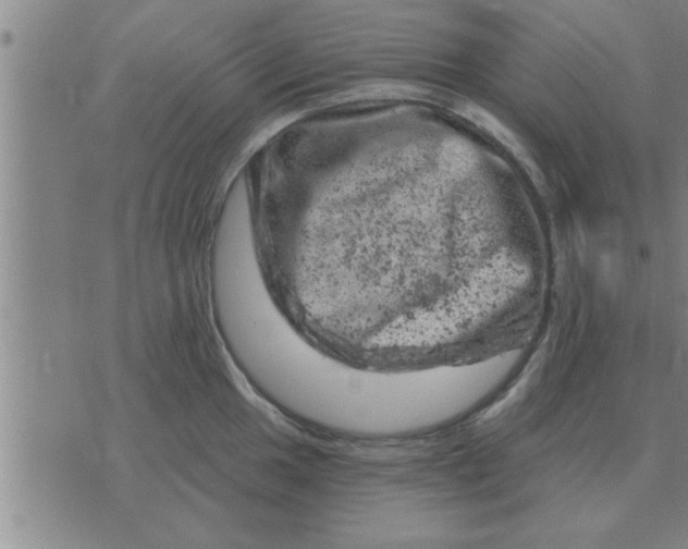 X0000074341049200609152117