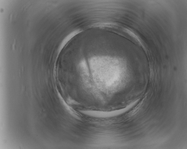 X0000074341050200609152117