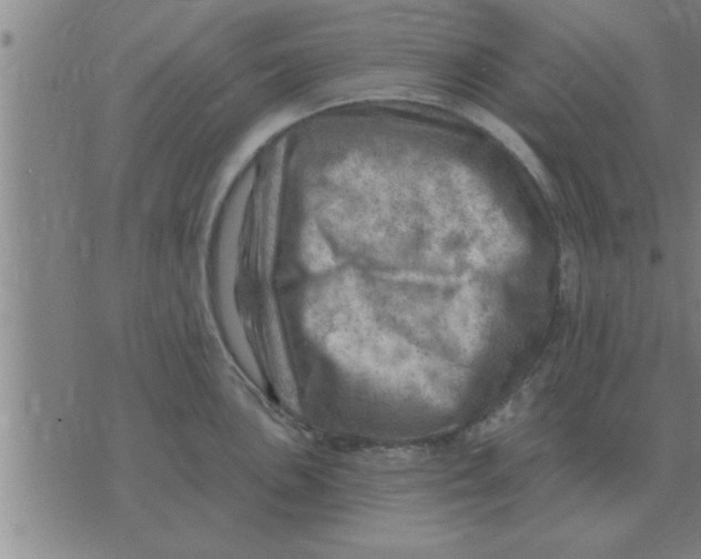 X0000074341051200609152117