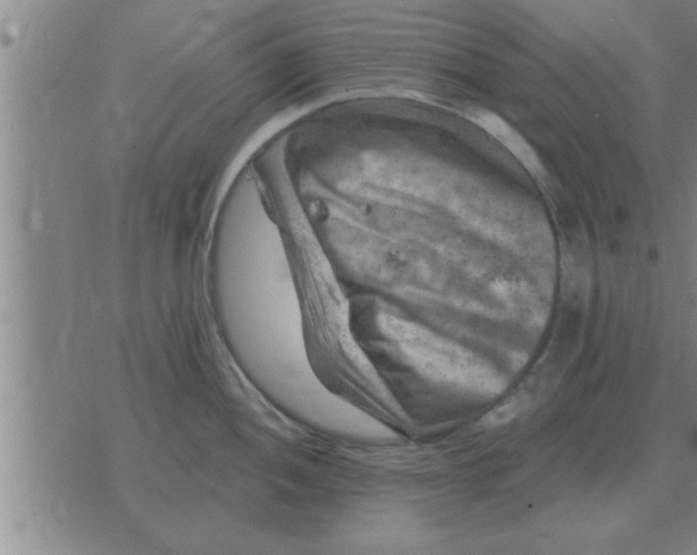 X0000074341052200609152117