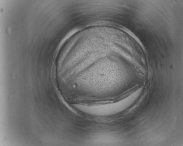 X0000074341053200609152117