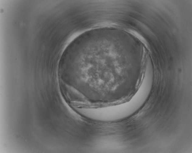 X0000074341055200609152117