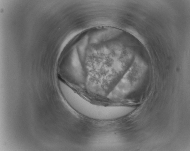 X0000074341056200609152117