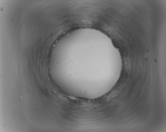 X0000074341057200609152116