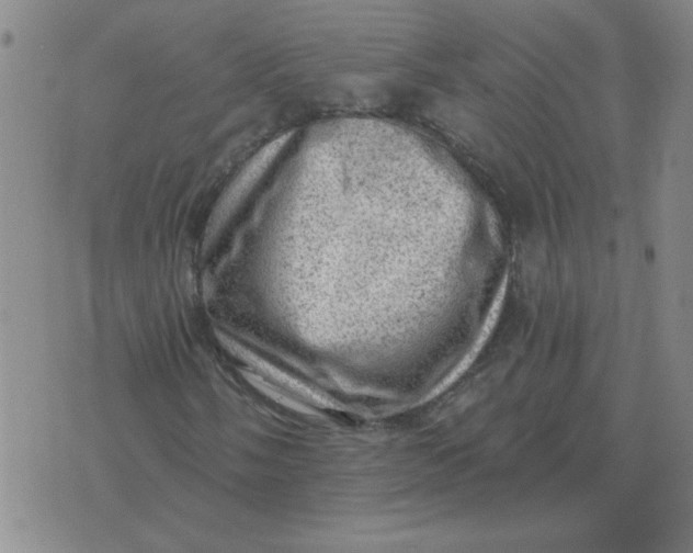 X0000074341058200609152116