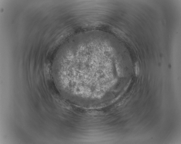 X0000074341059200609152116