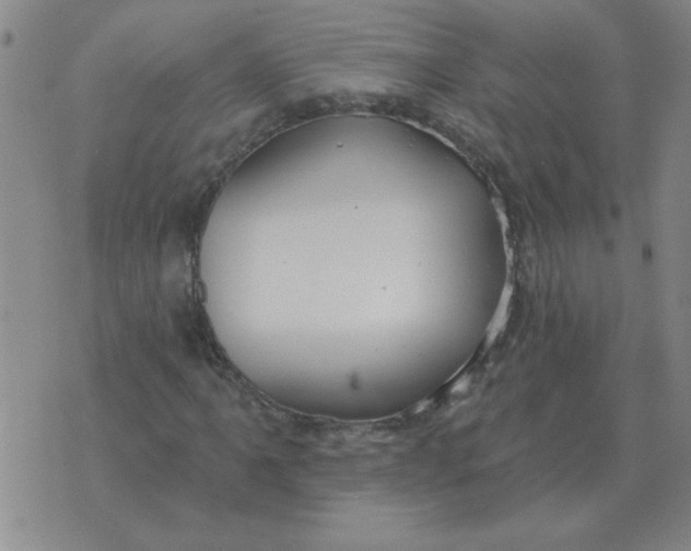 X0000074341061200609152116