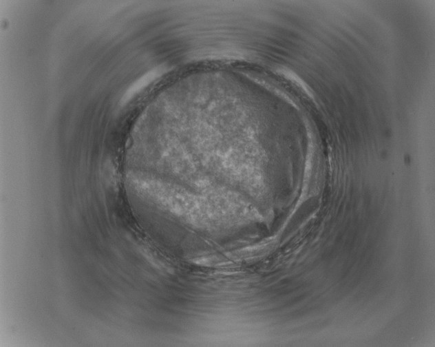 X0000074341064200609152116