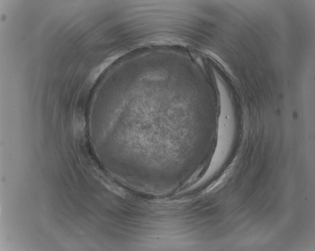 X0000074341065200609152116