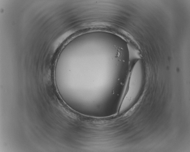 X0000074341066200609152116