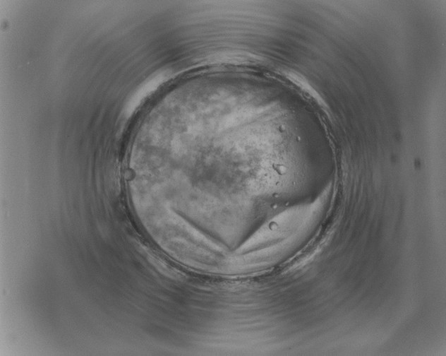 X0000074341067200609152116