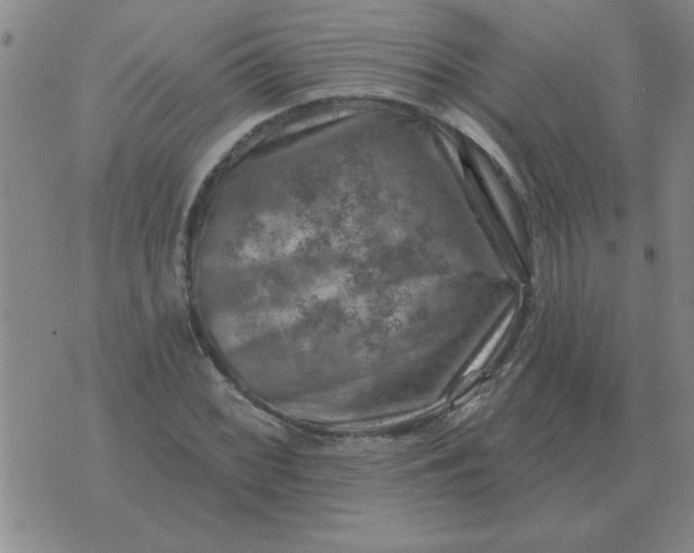 X0000074341068200609152116