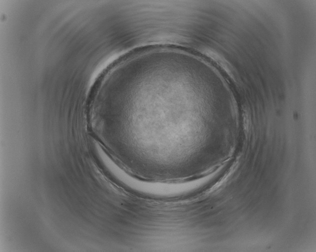 X0000074341069200609152116