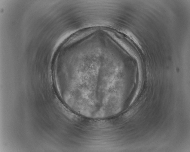 X0000074341072200609152116