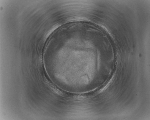 X0000074341073200609152116