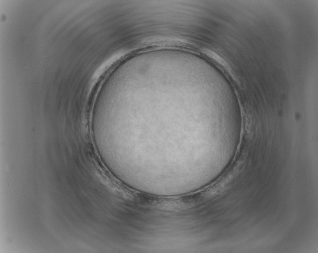 X0000074341074200609152116