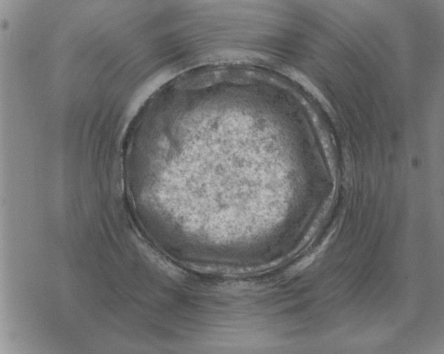 X0000074341075200609152116