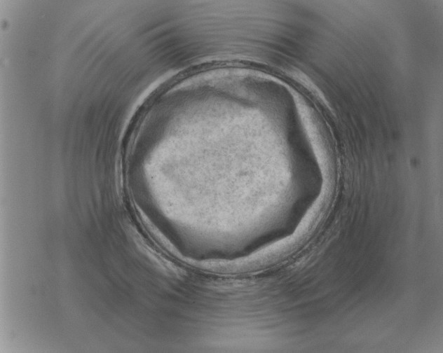 X0000074341076200609152116